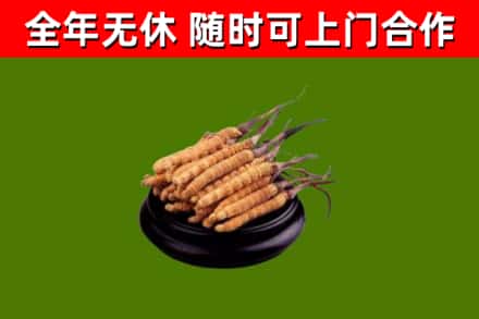 开远市烟酒回收冬虫夏草.jpg